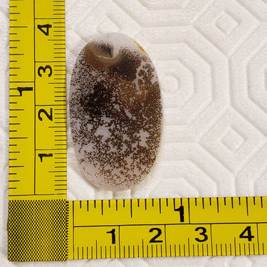 3Pcs Natural Scenic Montana Agate Slice Cabochon LOT